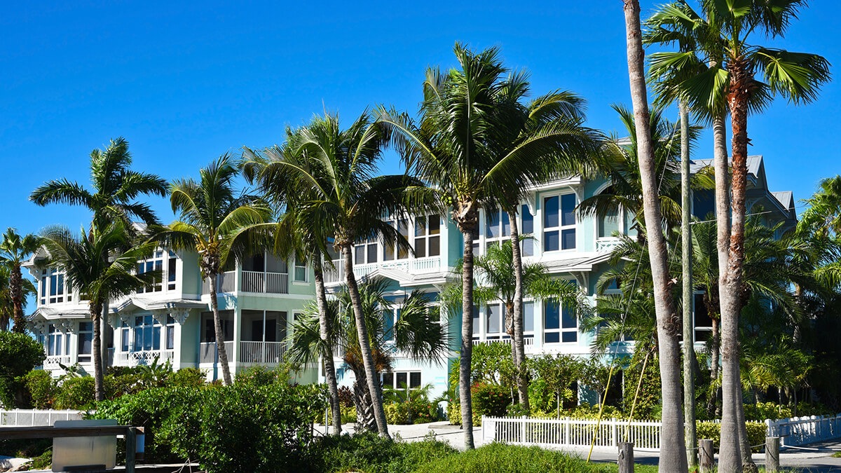 miami florida houses and palms