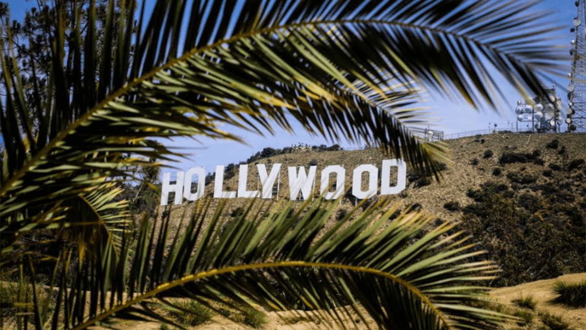 hollywood sign seen through palm leaves