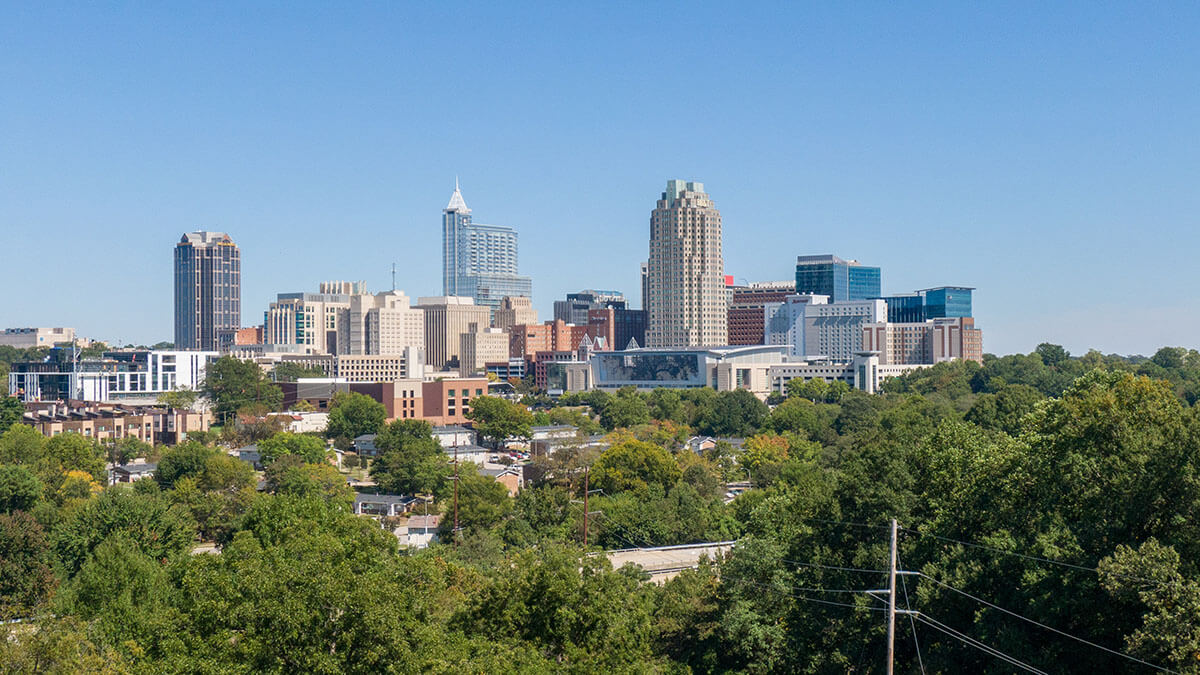 city scape of Raleigh NC with park in foreground