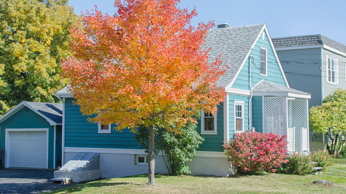 single family home with blue sidings during the fall season
