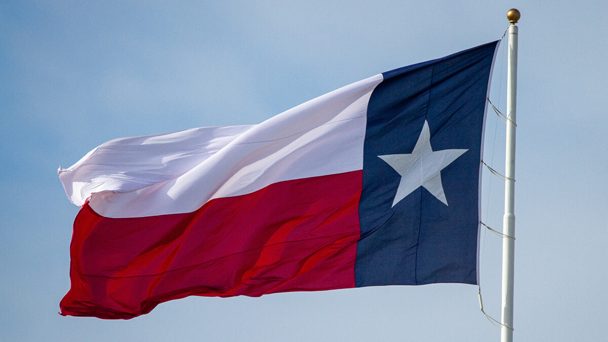 Texas flag on a white pole