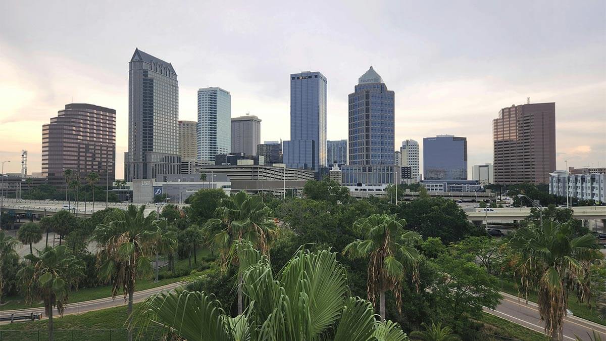 Tampa, Florida downtown cityscape with greenery in foreground