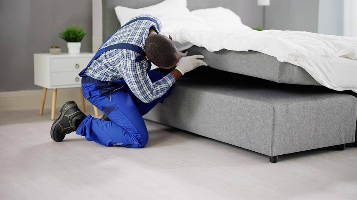 Do you have to disclose bed bugs when selling your home