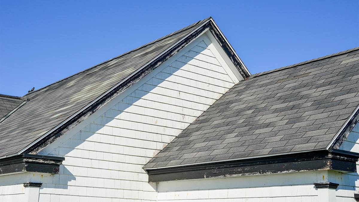 Selling a House with a 20-Year-Old Roof in 2024