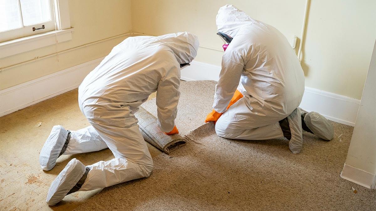 Selling a home after mold remediation